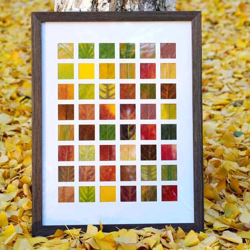 手工diy落叶树叶子标本48宫格相框实木深灰桌面摆台干花装饰画