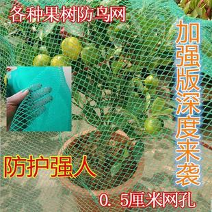防鸟网罩樱桃网果树防鸟网果园尼龙网防护罩防雹网葡萄蔬菜家用网