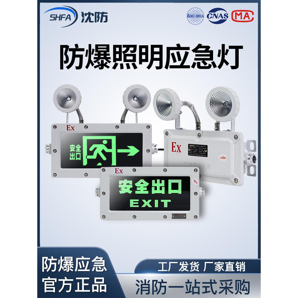 沈方新国标Led防爆双头应急照明消防安全出口指示标志a型Dc36V