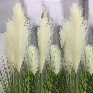 PVC芦苇草节日SY079林仿真洋葱草园绿化景场盆景盆栽真植物定仿制