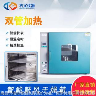 系列控温准确 电热恒温鼓风干燥箱 厂家直售实验室烘箱