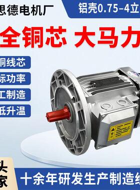 YE38024三相电动机380V0.75/1.1/1.5/2.2/3W铝壳配RV减速机