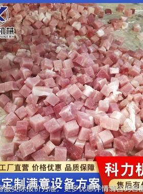 不锈钢冻肉切机自WWA动切丁丁机 鲜 肉切条机肉切片机