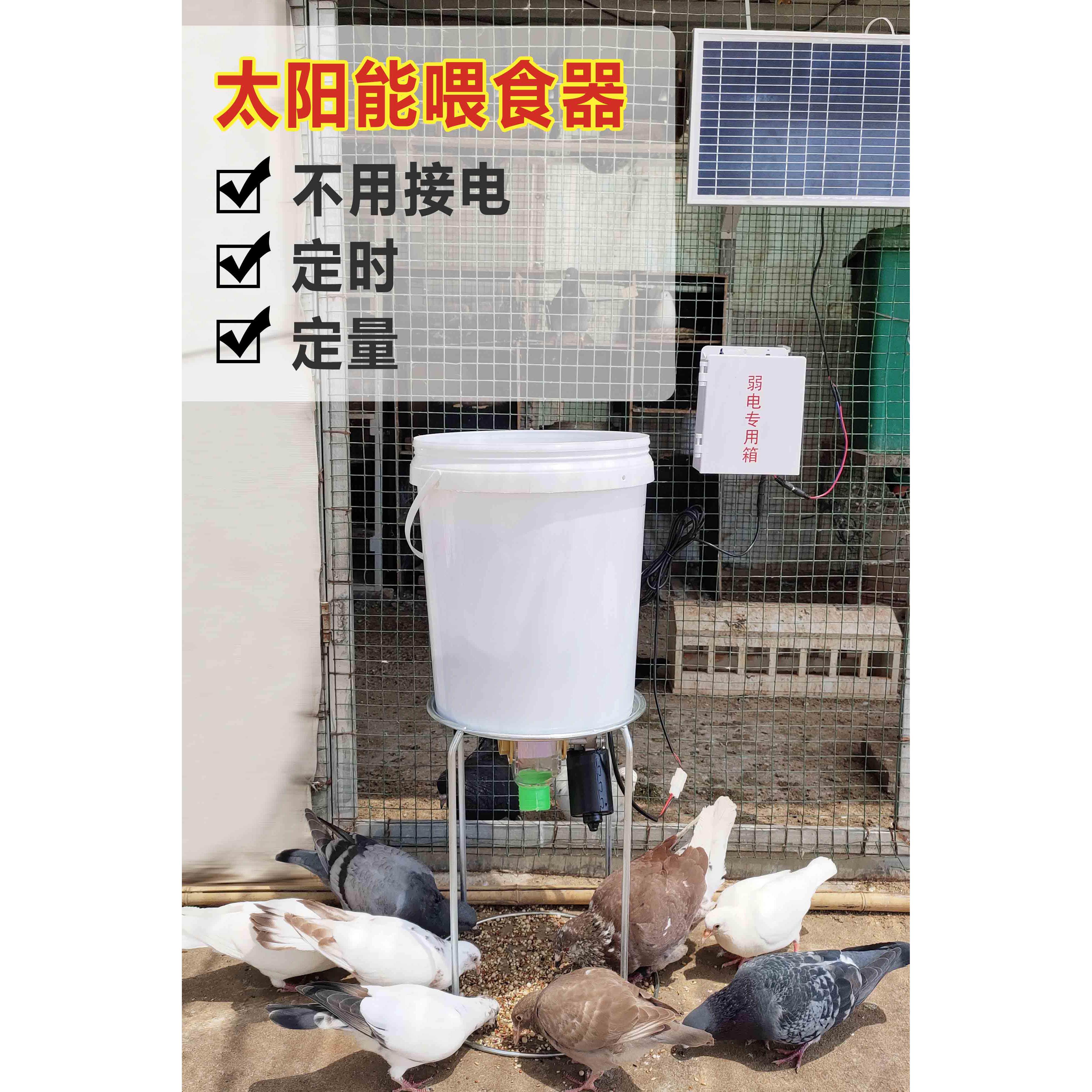 太阳能自动喂 食器定时定量鸽子鸡鸭鹅狗喂料机投食器用品用具远
