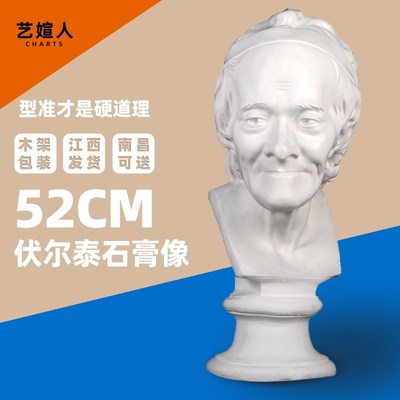 伏尔泰石膏像头像52cjm美术素描货具人像胸像雕塑摆件模型雕像破