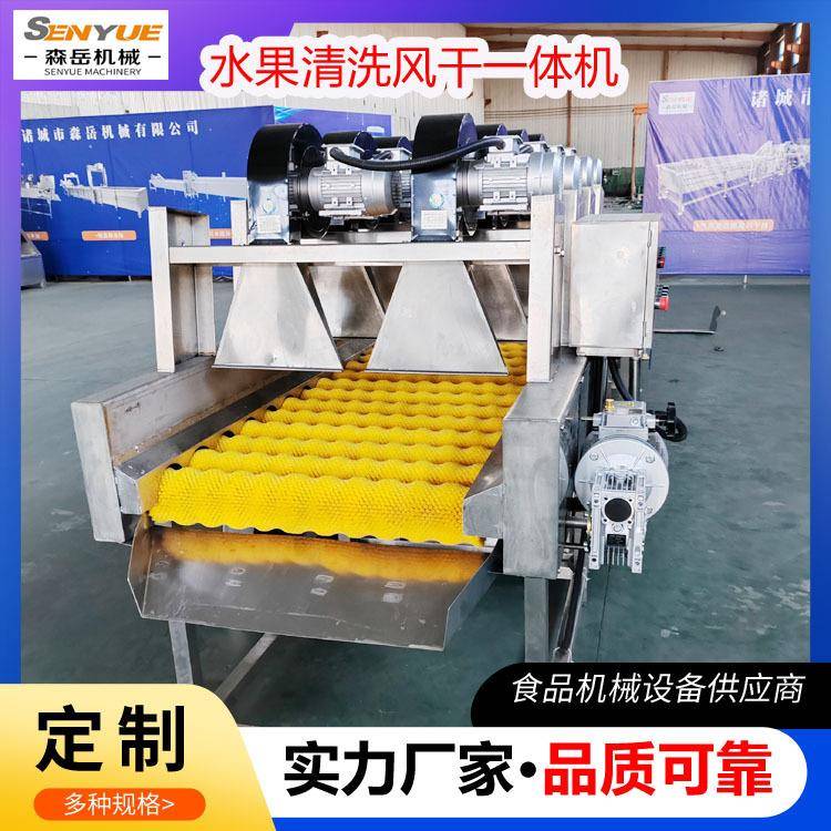 小青柑清洗选果机全自动橙子洗果机水果清洗风干一体机沃柑打蜡机