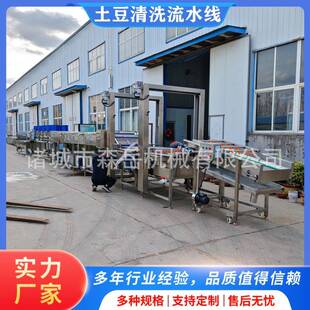 大型红薯清洗机果蔬自动平行毛刷清洗机土豆清洗分拣一体机不伤皮