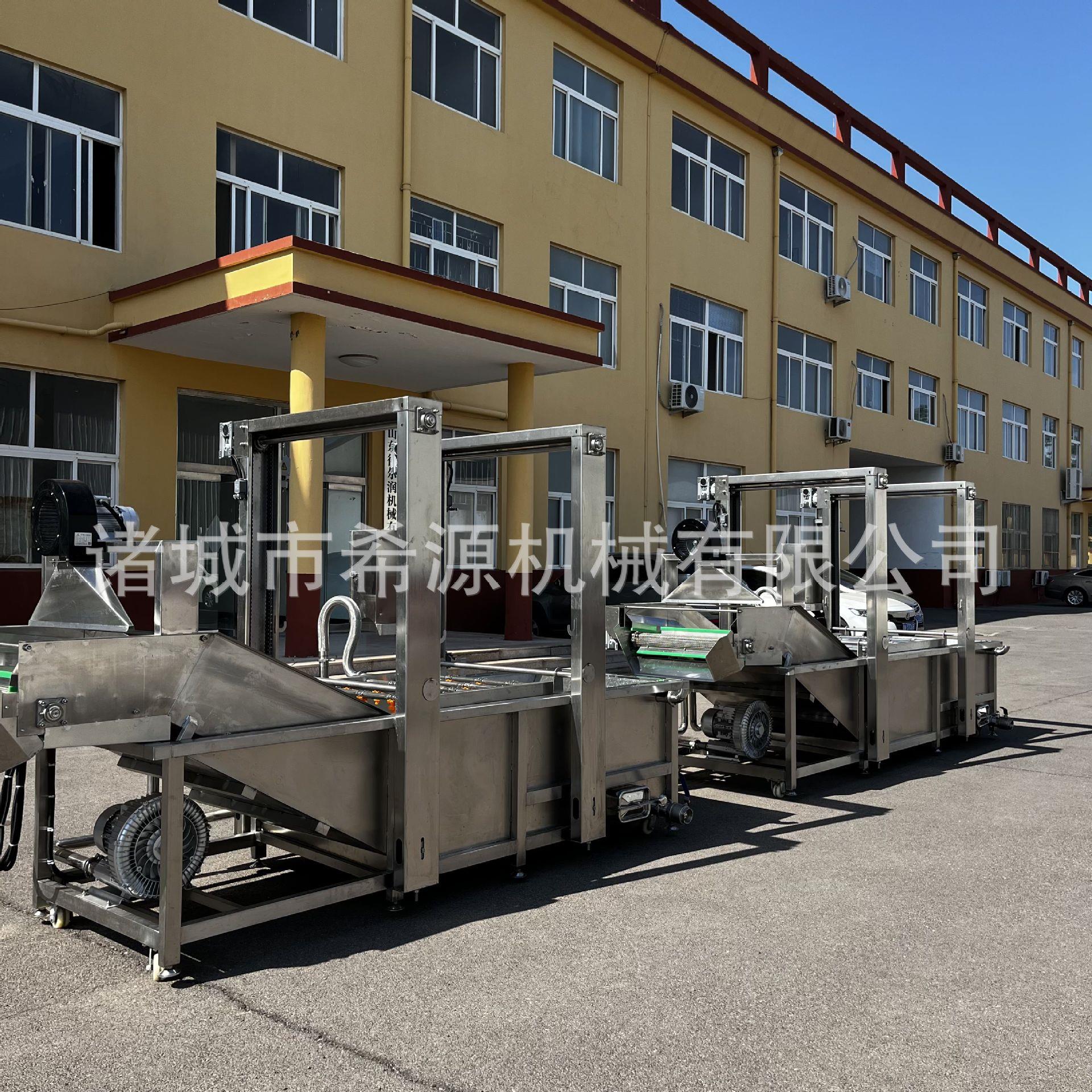 果蔬气泡清洗机苦菊生菜洗菜机 佛手瓜鼓泡清洗设备 净菜加工设备