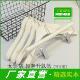 一体衣撑 架夹女装 高档服装 店专用实木衣架米白奶白防滑无痕衣挂裤