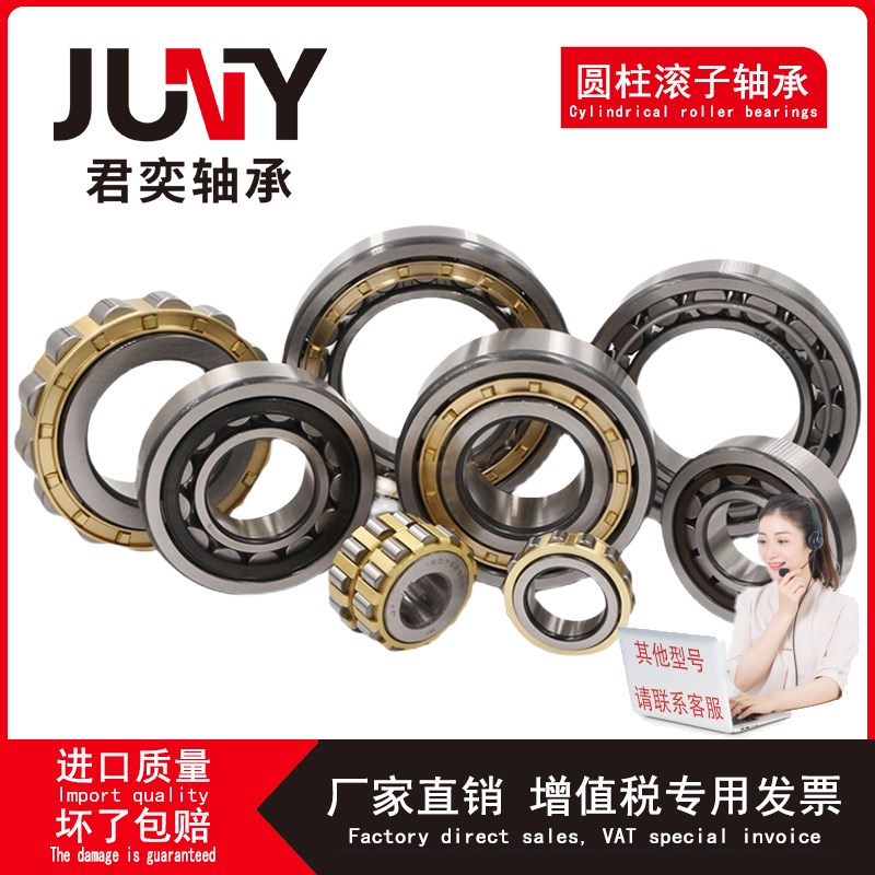 进口质量NJd230 NU232 RN234 236 238 240 244 248 EM圆柱滚子轴