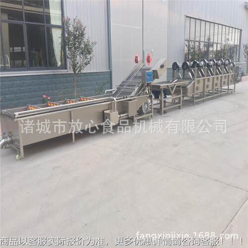 自动菜蔬钢菜清洗机 厂家直销 多功能果蔬全气泡清FX-600洗机 不