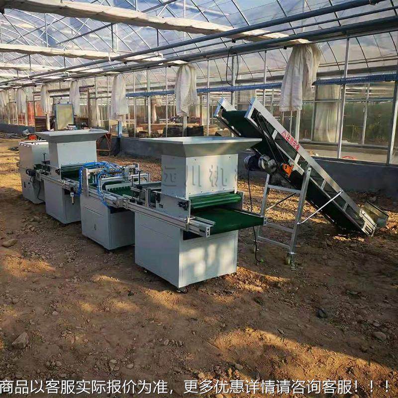 不锈OYM钢材质穴盘全播种机 蔬菜瓜果种子精播 机苗盘厂栽培穴播,农机/农具/农膜,播种栽苗器/地膜机,淘宝优惠券,粉丝福利购,淘宝优惠卷