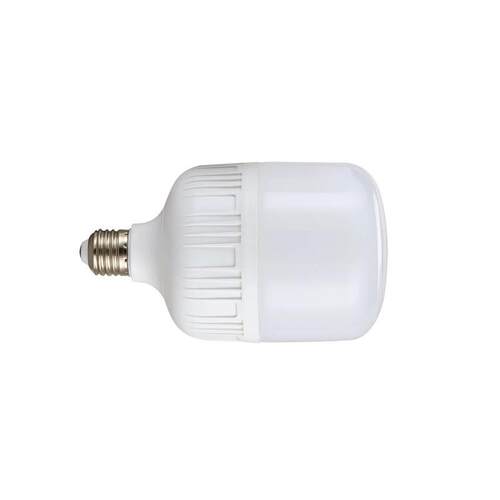 麦哲喆LED球泡MZZ-ZP10W 功率10W白光灯头标准E27（个）