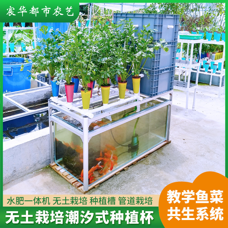 无土栽培潮汐种植水培系统阳台养花养鱼种菜共生系统教学设备种菜
