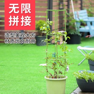 户外月季 爬藤架花架铁线莲绿萝蟹爪兰支架龟背竹仿倒伏植物支撑杆
