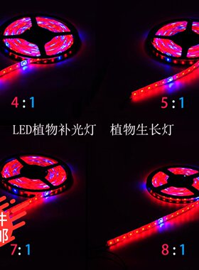 led植物生长灯带led贴片补光12v补光红蓝光花蕊 蔬菜 育苗 软灯条
