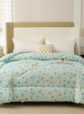 被保子291902冬被棉新疆棉花被棉絮被纯棉全花芯垫被褥子加厚暖春