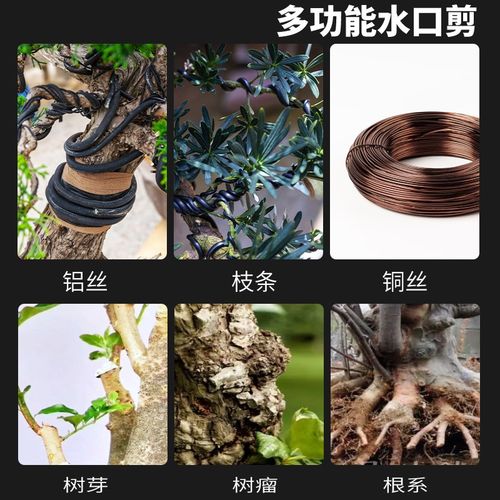 专用枝条修剪盆景剪刀水口剪剪斜园艺铝线修枝钳花园断丝钳造型