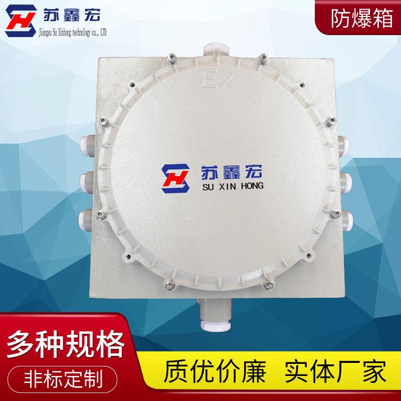 成套不锈钢电源仪表照明控制箱304不锈钢防爆动力电气仪表箱