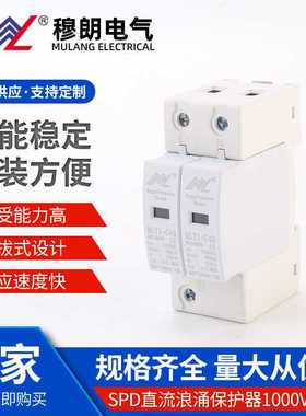 电涌保护器SPD直流浪涌保护器1000v 2P 白色浪涌保护器防雷避雷器