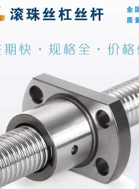 滚珠丝杠BSSC/BSSCK0802 1004 1204 1505 1510 2005 2010 2505