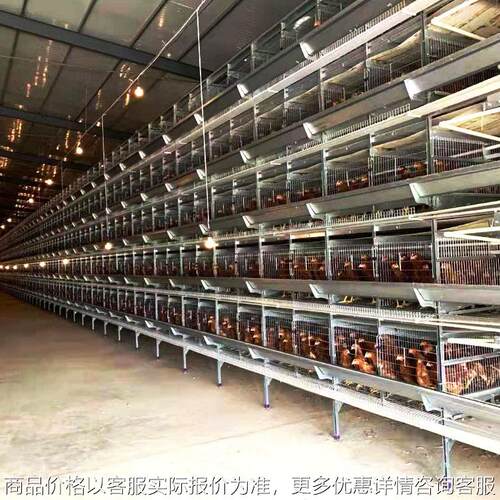 河南全自动捡蛋机 一体化养鸡设备 大型10万只蛋鸡养殖设备厂家