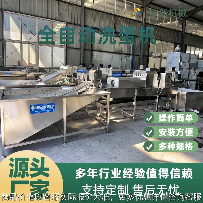 全自动蛋品清洗机鸡蛋无菌蛋杀菌洗蛋机养殖场脏蛋清洗烘干流水线