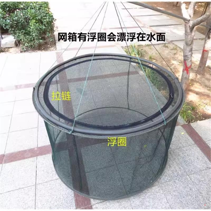 养殖网箱折叠养鱼锦鲤漂浮网圈鱼护病鱼隔离网箱可折叠装鱼护箱网