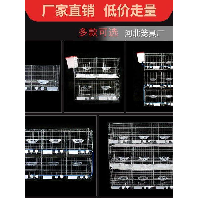 新品加粗2位4位6位鸽子笼养殖笼信鸽配对笼鸽子巢箱阳台鸽笼