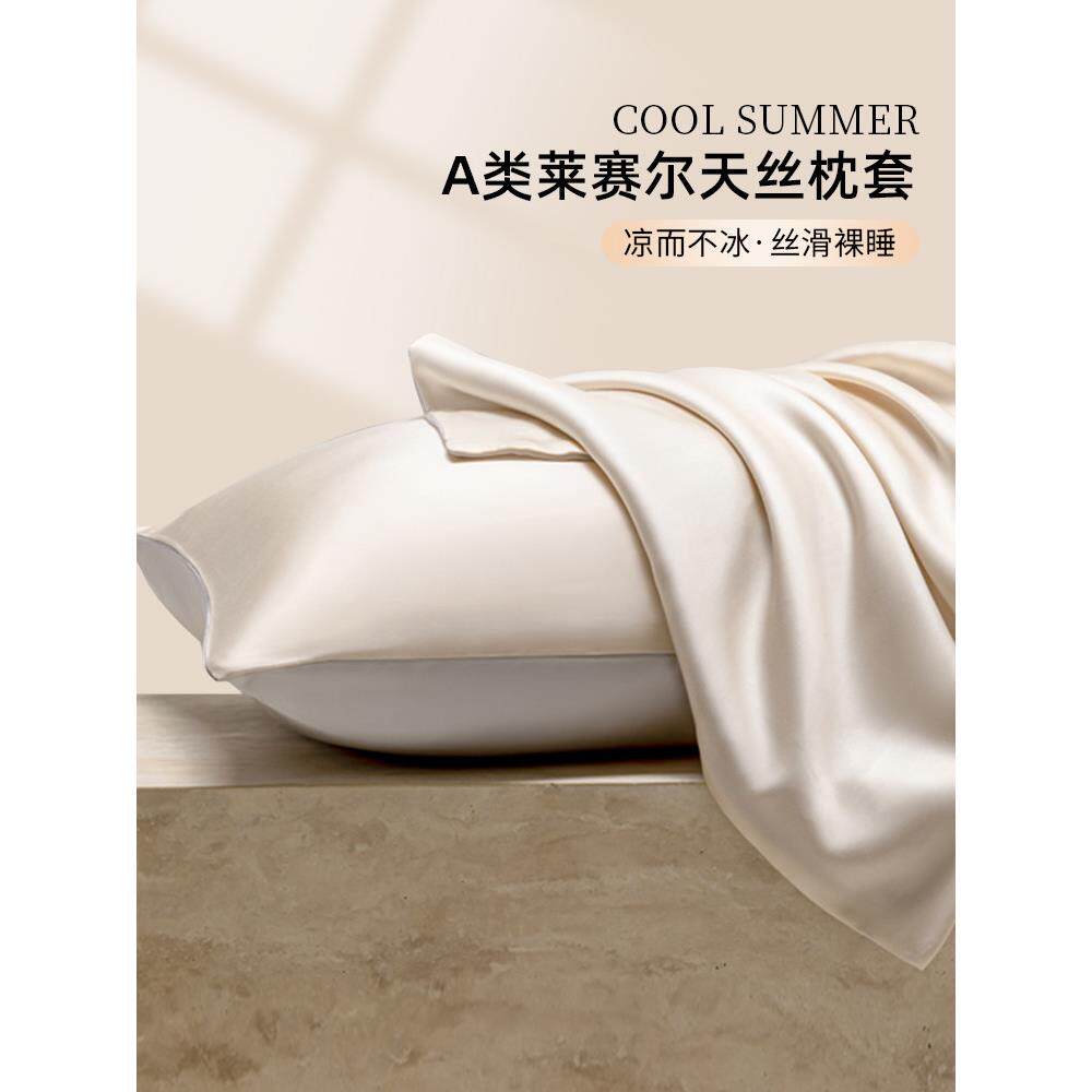 凉爽枕套夏季莱赛尔天丝枕套一对家用单枕套48X74Cm枕套2025