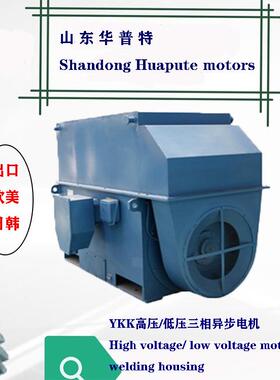 出口Y高压电机315w560w出口朝鲜山东厂家6v10v