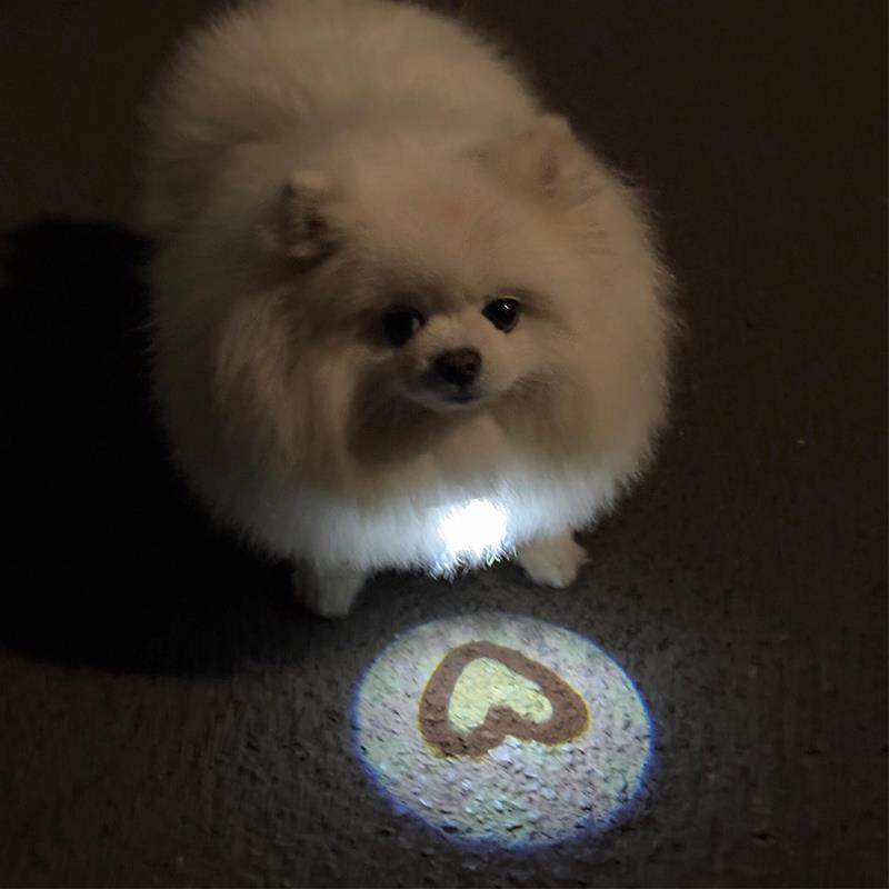 狗狗项圈夜间遛狗灯防走丢发光吊牌大中小型犬比熊宠物社交投影灯