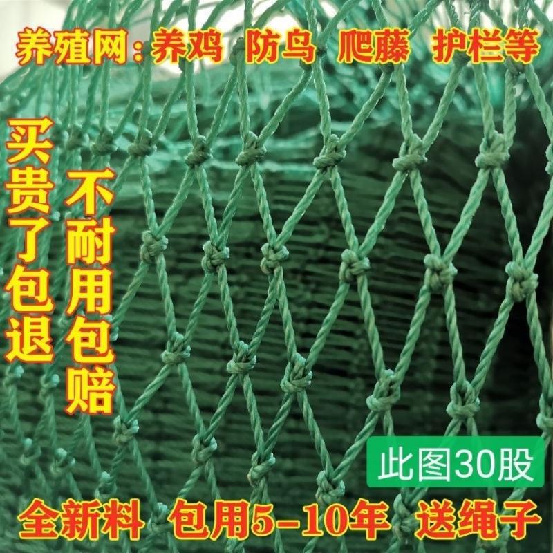 家禽养殖网尼龙网养鸡防飞网防鸟拦鸡搭顶网围栏爬藤网隔离网