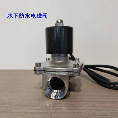2W水下防水防雾电磁阀喷泉水池IP6户外电磁阀L0282V常闭开关不锈