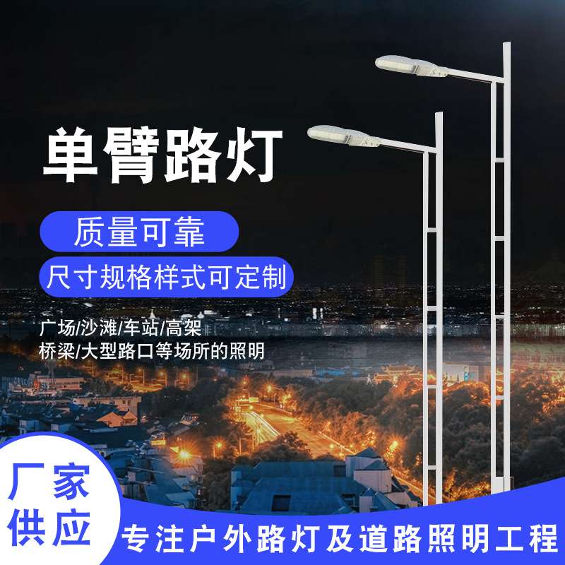 LED市电单臂路灯 新农村建设30W5米6米8米户外工程照明双臂路灯杆