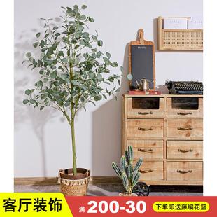 饰树 仿真绿植盆栽北欧ins风尤加利树大型假植物金钱叶摆件室内装