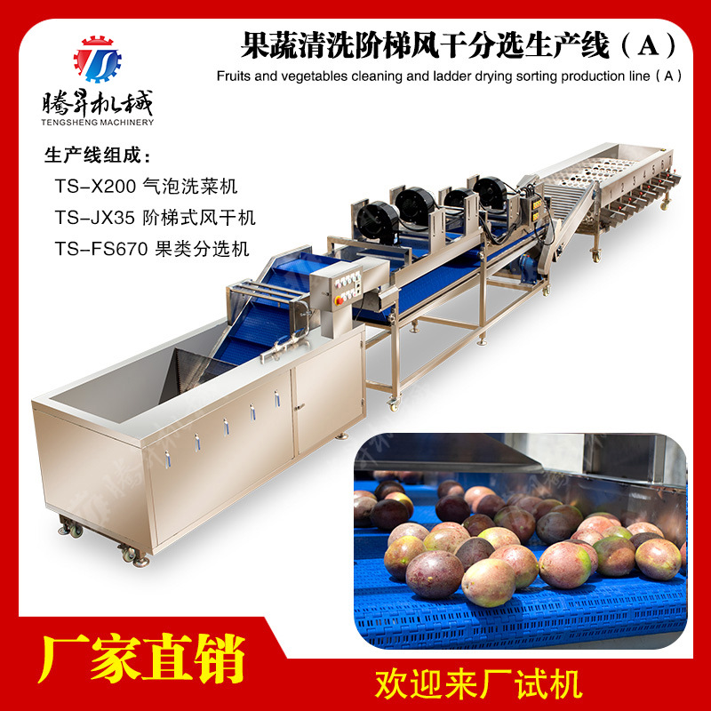 全自动多功能洗菜机洗果机气泡式春笋清洗机果蔬清洗风干流水线
