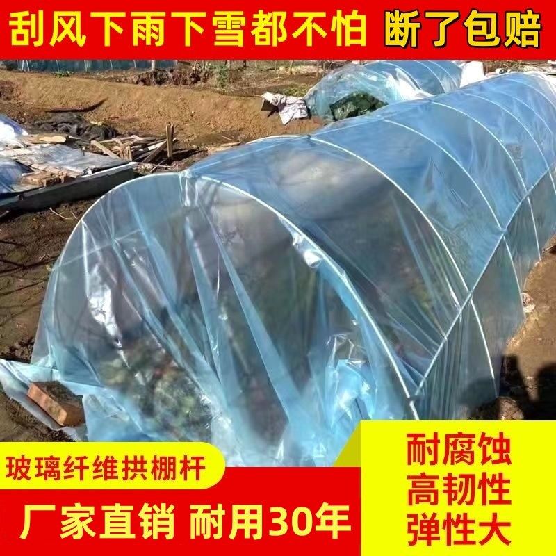 小拱棚支架花棚骨架秧苗大棚拱条蘑菇塑料菜园实心玻璃纤维杆花卉