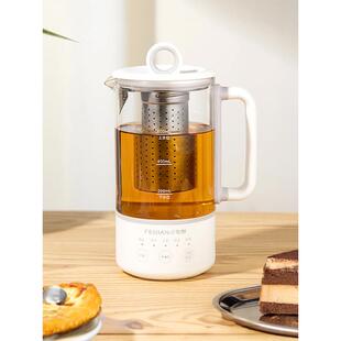 飞健纯钛办公室迷你女士单人健康杯电炖杯沸水煮壶电热泡茶一体式