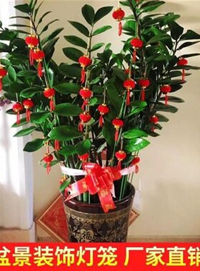 小灯笼植绒大红盆景挂饰过年装饰挂件室内客厅新年场景布置春节