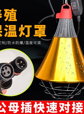 养殖保温灯罩防水插头子母公母插猪场取暖灯兽用加热灯养殖场专用