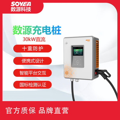 数源科技定制30kW直流新能源电动汽车快速充电桩充电站运营充电桩