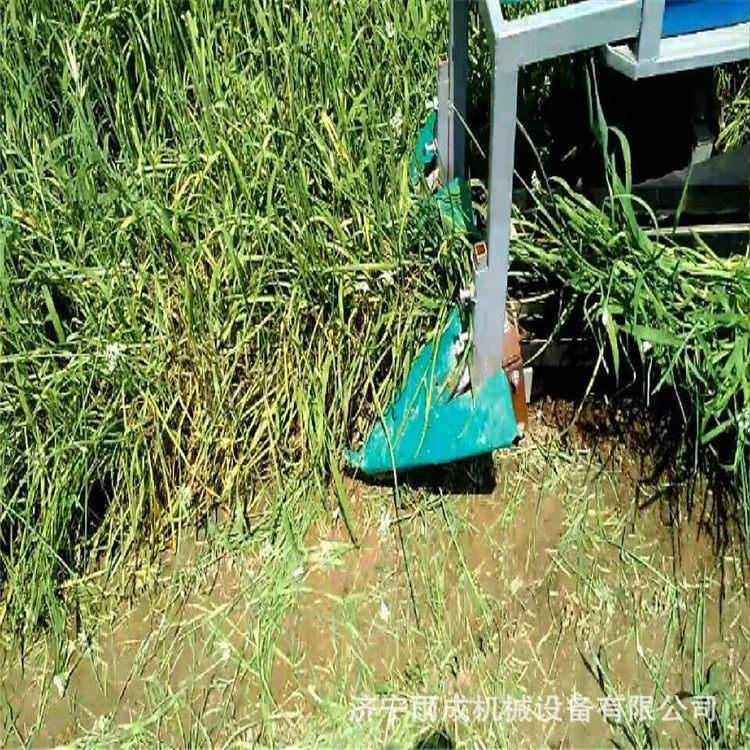 大面积韭菜种植收割 电动割韭菜机 小型单人手扶韭菜收割机,农机/农具/农膜,播种栽苗器/地膜机,淘宝优惠券,粉丝福利购,淘宝优惠卷