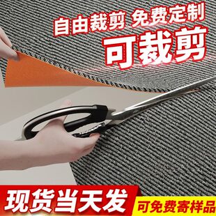 地毯可裁剪加厚防滑入户门进门门口轻奢高级门垫卧室耐脏家用地垫