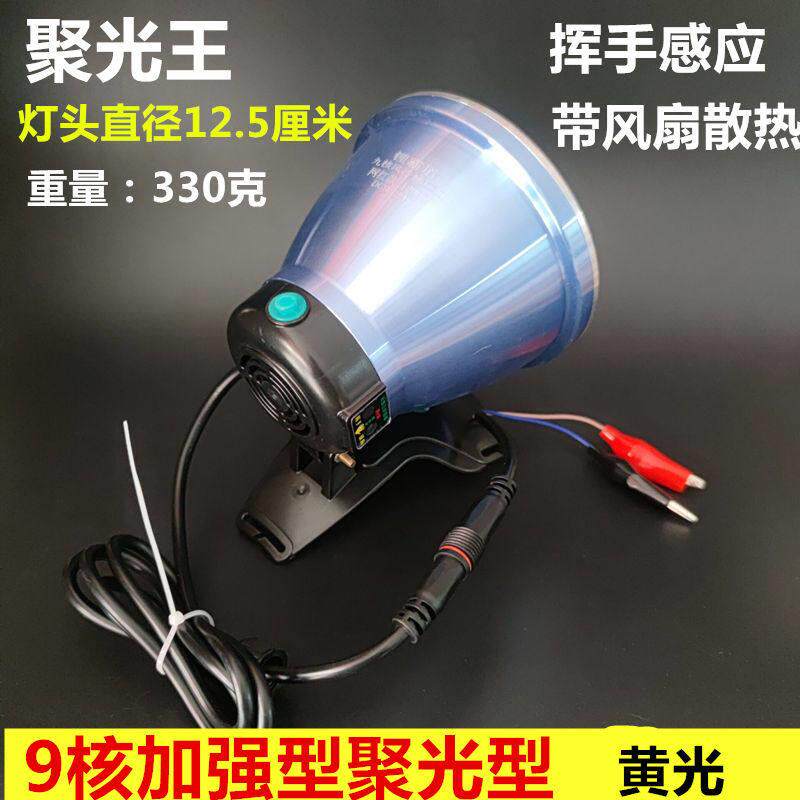 12V头灯强光超亮头戴式lED户外防水泛光灯黄鳝水蛭蚂蟥钓鱼单灯座