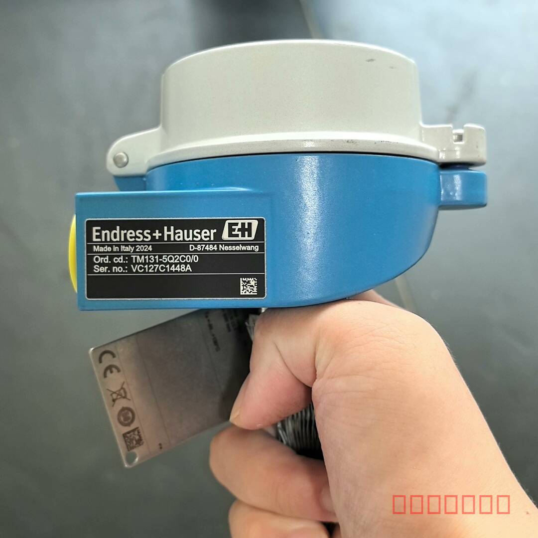 议价E+H防爆温度传感器 TM131-5Q2C0/0 一台，维修