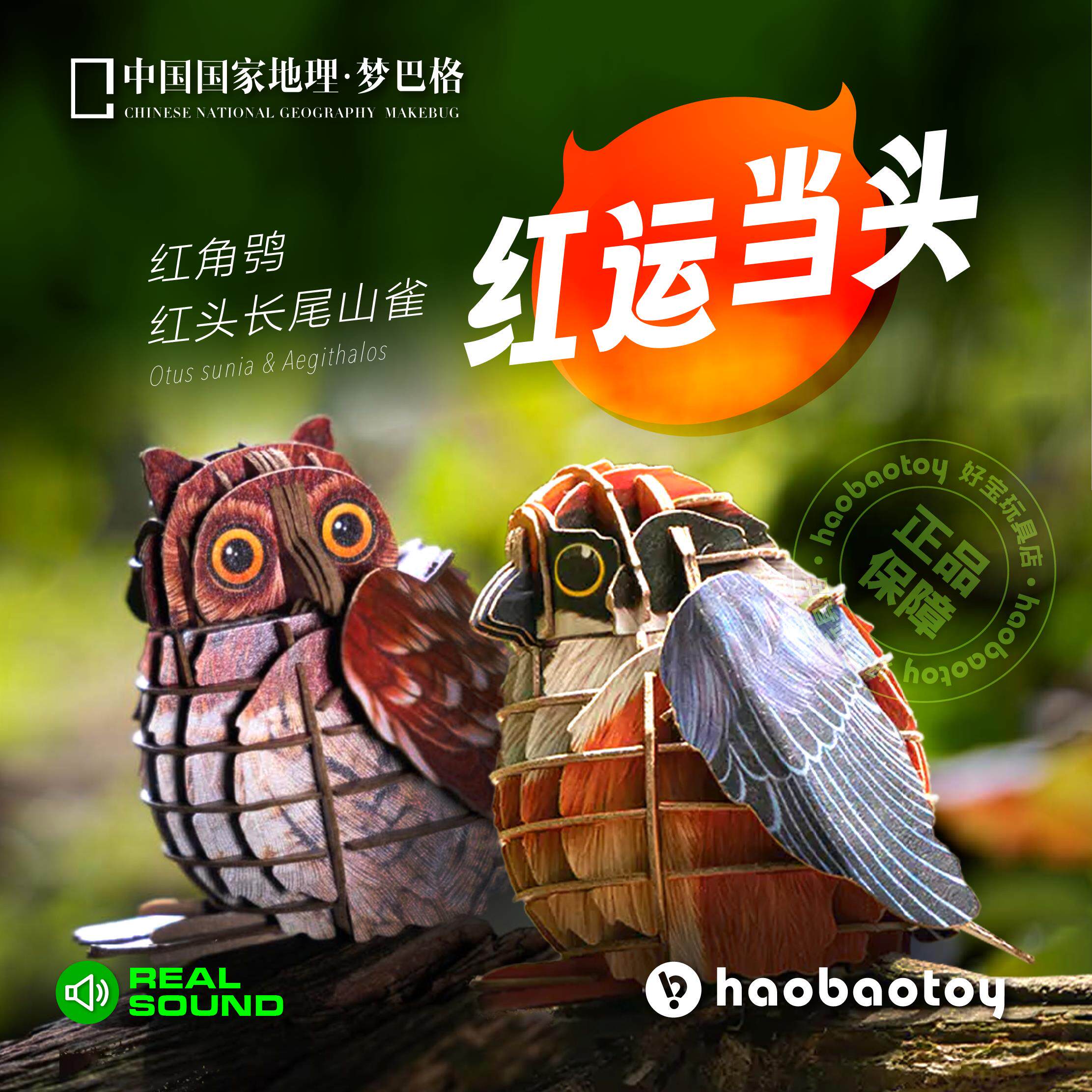中国国家地理梦巴格纸模型小鸟3D立体拼图插装为自然发声真实鸣叫