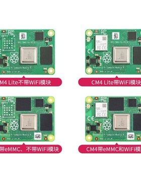树W派莓CM4核心RIZ板 CM4108s000 CM4108008 CM4108016 CM4018032