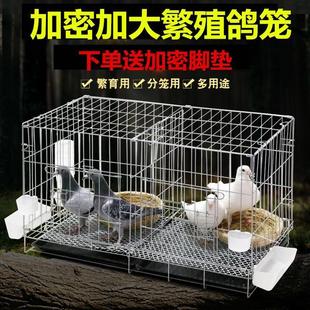 鴿子籠養殖籠家用帶隔斷配對繁殖籠大號鴿舍鴿子用具清倉折疊鴿籠