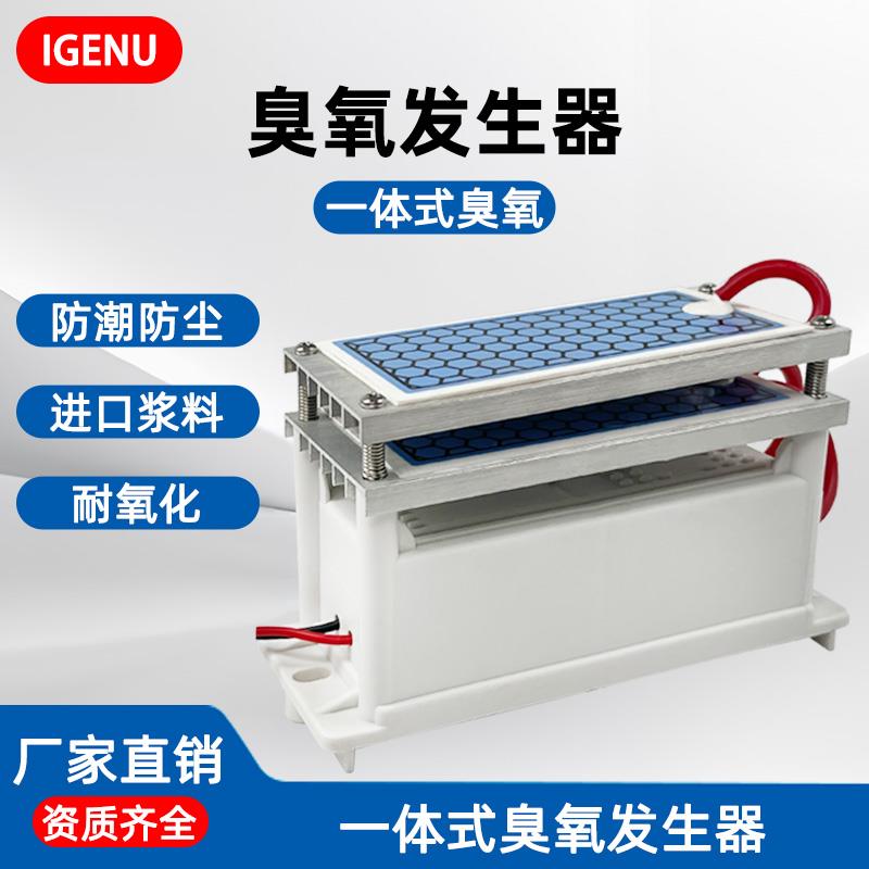 iGenu10g20g一体式臭氧发生器配件插件电源陶瓷片长寿命臭氧模块